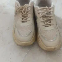 کفش|کیف، کفش، کمربند|بیرجند, |دیوار