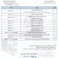 خاکبرداری با مینی لودر بابکت پیکور وپیکور توماس