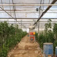 فروش زمین و گلخانه|فروش دفتر صنعتی، کشاورزی، تجاری|تیران, |دیوار