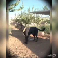 سرابی افقان