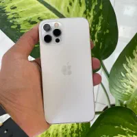 (12pro (zaa