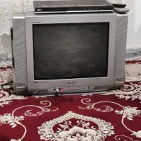 تلویزیون