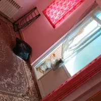 مسکن مهر سند شش دانگ|فروش آپارتمان|شهرضا, |دیوار