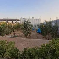 باغ ویلا فروشی زمین ۵۰۰متر زیربنا ۱۲۰متر|فروش خانه و ویلا|شیروان (خراسان), |دیوار