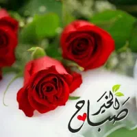 ۰۹۱۲سیم کارت کد۵رند09125123991