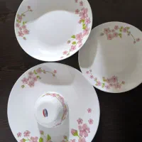 آرکوپال 24 نفره|ظروف سرو و پذیرایی|اصفهان, مفتح|دیوار