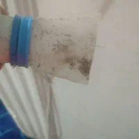 درمان رشک وشپش|آرایشی، بهداشتی، درمانی|قرچک, زیبا شهر|دیوار