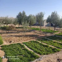 دامداری صنعتی2500متر