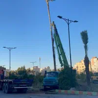 شرکت خدمات مهندسی فضای سبز ، باغبانی و محوطهسازی