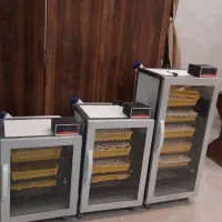 دستگاه جوجه کشی ققنوس هوشمند