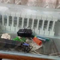 آکواریوم ، پمپ آب ، هواساز