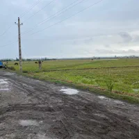 فروش3500-متر-مزروعی-سند-دار-مناسب-کیوی