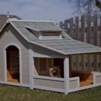 انواع لانه سگ|لوازم جانبی حیوانات|رشت, انصاری|دیوار