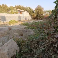 ۵۰۰مترباغچه سهیلیه سنقرآباد خیابان بنفشه|فروش زمین و ملک کلنگی|رامجین, |دیوار