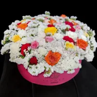 باکس گل رز مینیاتوری|گل و گیاه طبیعی|شیراز, بعثت|دیوار