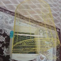 قفس بزرگ نو