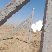فنس کشی|خدمات باغبانی و درختکاری|تاکستان, |دیوار