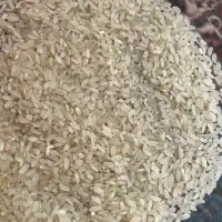 برنج کامفیروزی|خوردنی و آشامیدنی|بوشهر, |دیوار