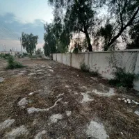 فروش-زمین-تجاری-بوشهر-برج-مقام-تنگک