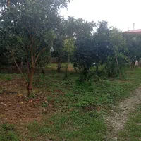 فروش خونه باغ زیبا و بکر|فروش خانه و ویلا|تولم شهر, |دیوار