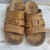 پیدا شده