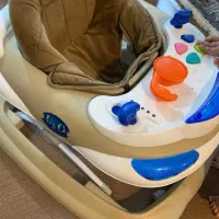 روروئک مارک دلیجان