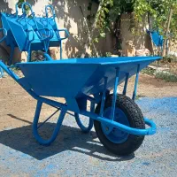 فرقون زاگرس