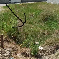 زمین مسکونی دوبر