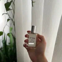 عطر پاکورابان اینوکتوس