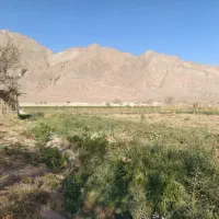 فروش زمین کشاورزی در راین روستای ده ملک|فروش زمین و ملک کلنگی|راین, |دیوار
