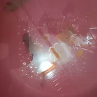 ماهی|ماهی|مشهد, خواجه ربیع|دیوار