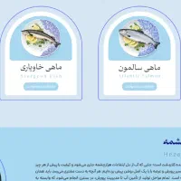 طراحی سایت حرفه‌ای با قیمت مناسب