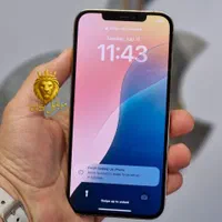 اپل iPhone 12 Pro Max سلامت کامل بشرط|موبایل|رشت, لاکانی|دیوار