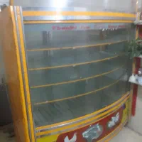 یخچال برزگ مرغ ماهی فروشی