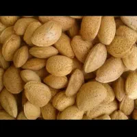 محصولات ارگانیک مسقیم از باغدار|خوردنی و آشامیدنی|شیراز, شهرک والفجر|دیوار