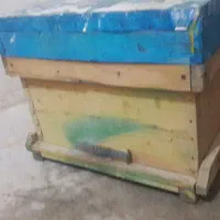 فروش طبق وکندوزنبور