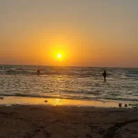 استخدام . خانم مسلط به فتوشاپ