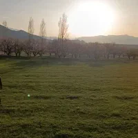 زمین-باغ-و-کشاورزی