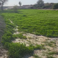 زمین ۱۵۰۰ متری نزدیک اتوبان