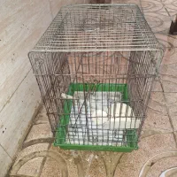 تعدادی گلدان بهمراه قفس پرنده ودرخت بار