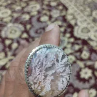 انگشتر شجر|جواهرات|شیراز, میانرود|دیوار