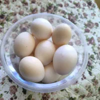 فروش تخم مرغ محلی