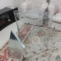 قفس بزرگ و لانه مناسب جوجه کشی + قفس دوم