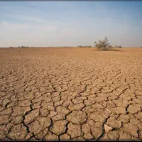 زمین اجارای