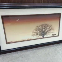 قاب منظره