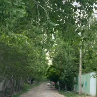 فروش یک زمین چهار دیواری باغی دل‌انگیز در لشکرآباد|فروش زمین و ملک کلنگی|رامجین, |دیوار