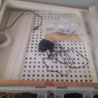 دستگاه جوجه کشی|لوازم جانبی حیوانات|تویسرکان, |دیوار