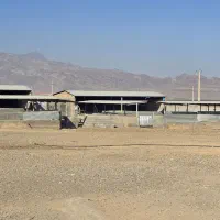 فروش دامداری ۵۰۰۰ متری نوساز|فروش زمین و ملک کلنگی|نطنز, |دیوار