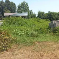 فروش-250-متر-زمین-بر-اصلی-خیابان-روستاهای-پره-سر