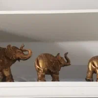 جاروبرقی،سرخکن،پلوپز|سایر لوازم برقی|مشهد, هنرور|دیوار